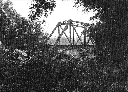 Mississippi Trestle (photograph by C.N.Chatterley) (136Kb)
