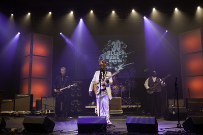 Лауреаты Blues Music Award  за 2008 год