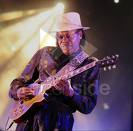 Номинанты на Blues Music Awards 2010
